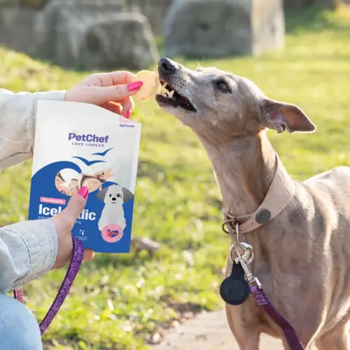 PetChef Izlandic Cod Chips 3