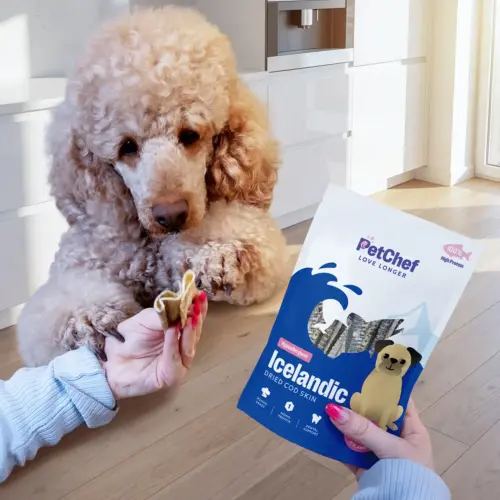 PetChef Izlandic Cod Skin 2