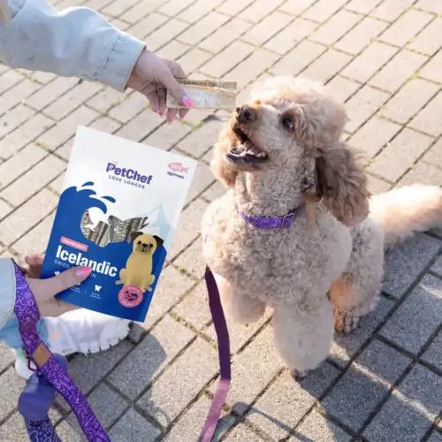 PetChef Izlandic Cod Skin 3