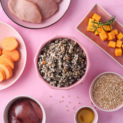 zapachajuca-hnacka-u-psa