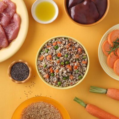 kvalitna-strava-pre-psa