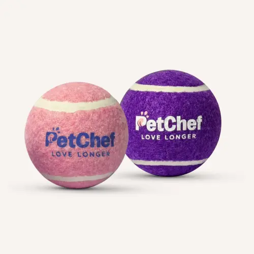 PetChef TENNIS BALL 2b