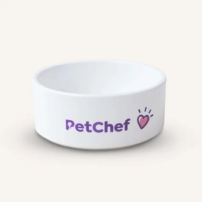 PetChef Keramicka Miska Pre Psov M1