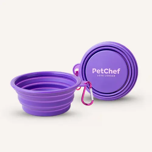 PetChef Skladacia Silikonova Miska Pre Psov M1