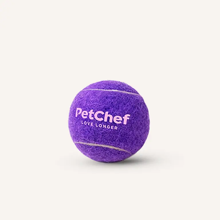 PetChef Tenisova Lopticka M1