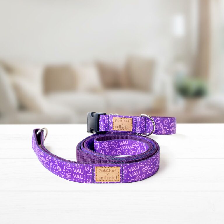 Súprava obojku a vôdzky pre psa