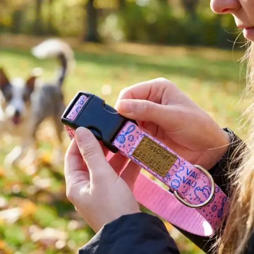Petchef Dog Collar 3