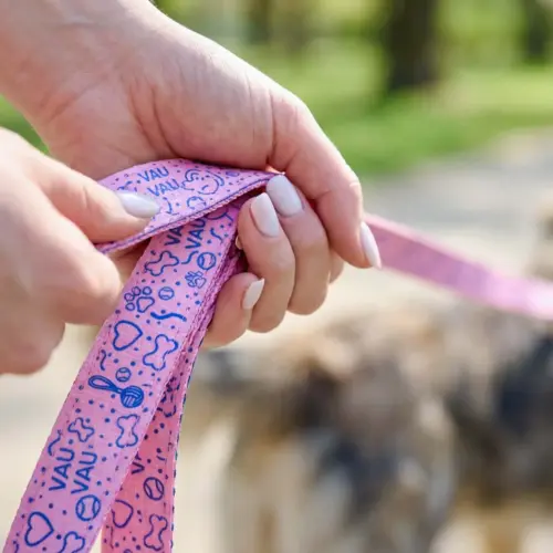 Petchef Dog Leash 1