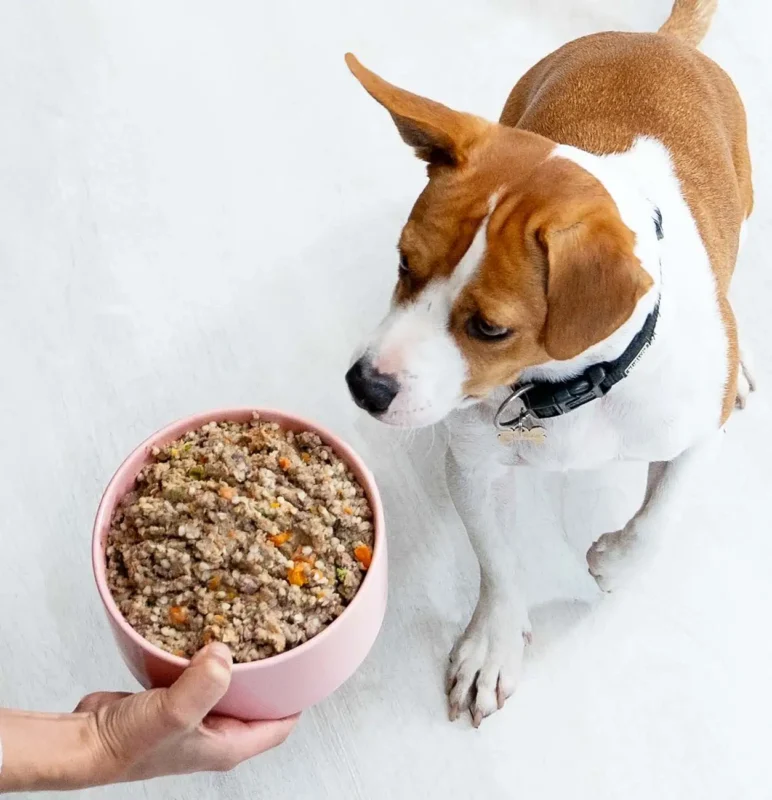 PetChef Krmiva Pre Psov M11 772x800