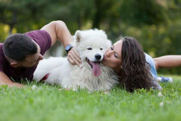 preco-psovi-slzia-oci