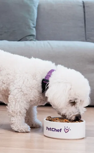 PetChef Vernostny Program 2