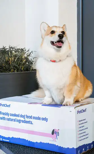 PetChef Vernostny Program 4