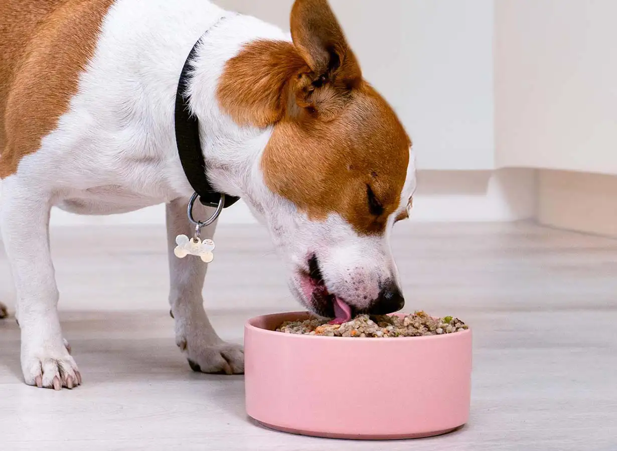 PetChef Krmiva Pre Psov M 10