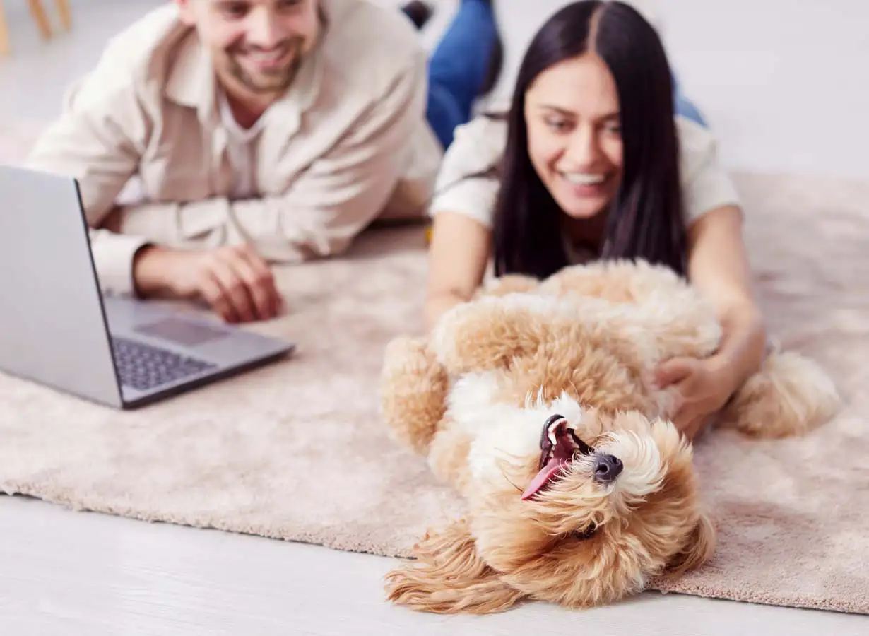 PetChef Krmiva Pre Psov M 121