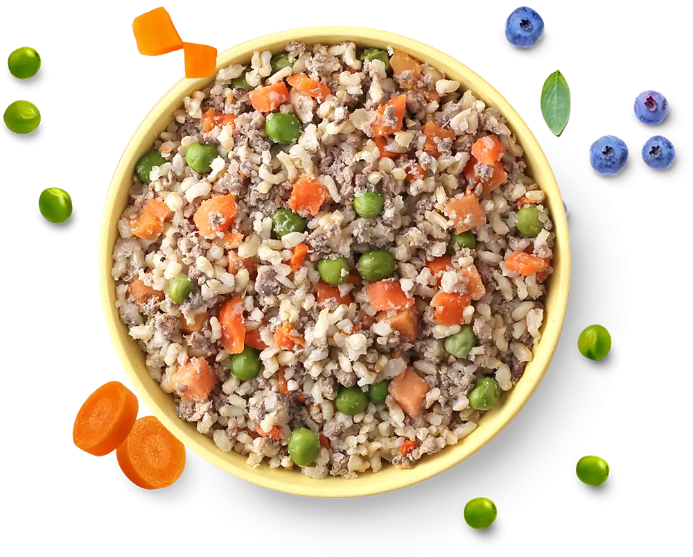 PetChef Krmiva Pre Psov M 122