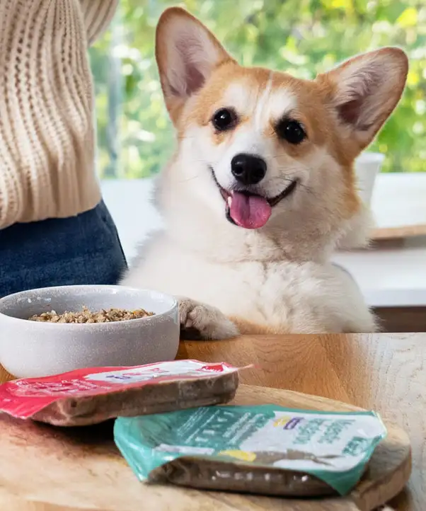 PetChef Krmiva Pre Psov M 5