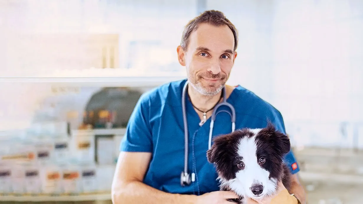 PetChef Kutyaeledel M 141