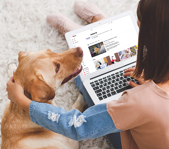 PetChef Youtube Kanal