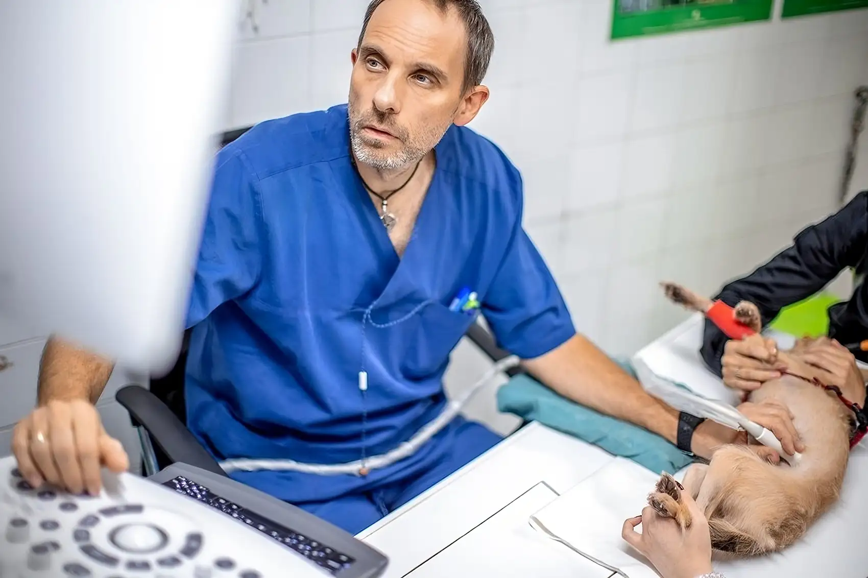 Dr Jozsef Varga Petchef 2