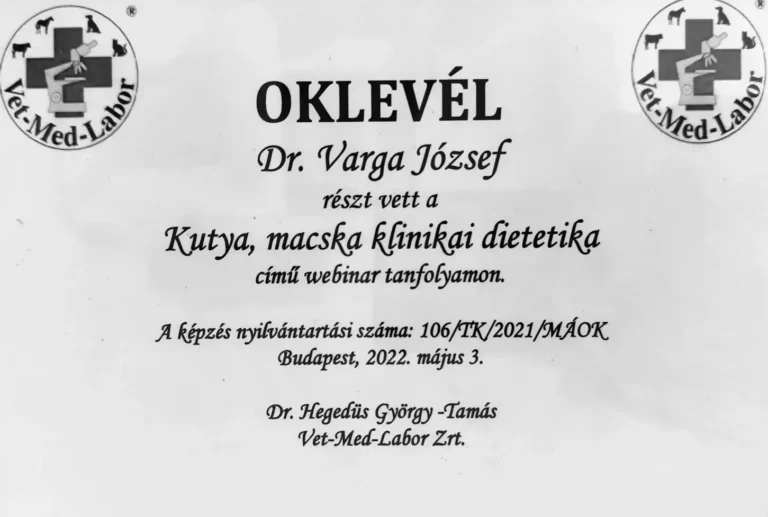 Dr Varga Jozsef Allatorvos Oklevel 1 768x517
