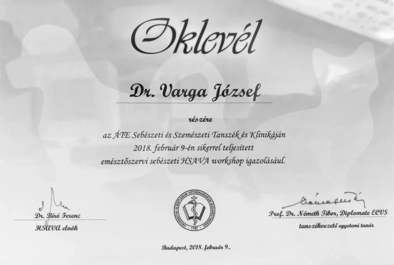 Dr Varga Jozsef Allatorvos Oklevel 2 768x517