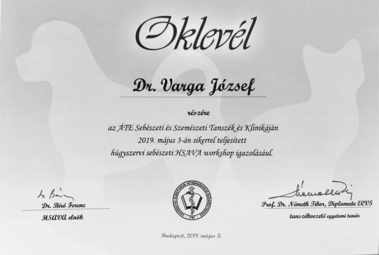 Dr Varga Jozsef Allatorvos Oklevel 3 768x517