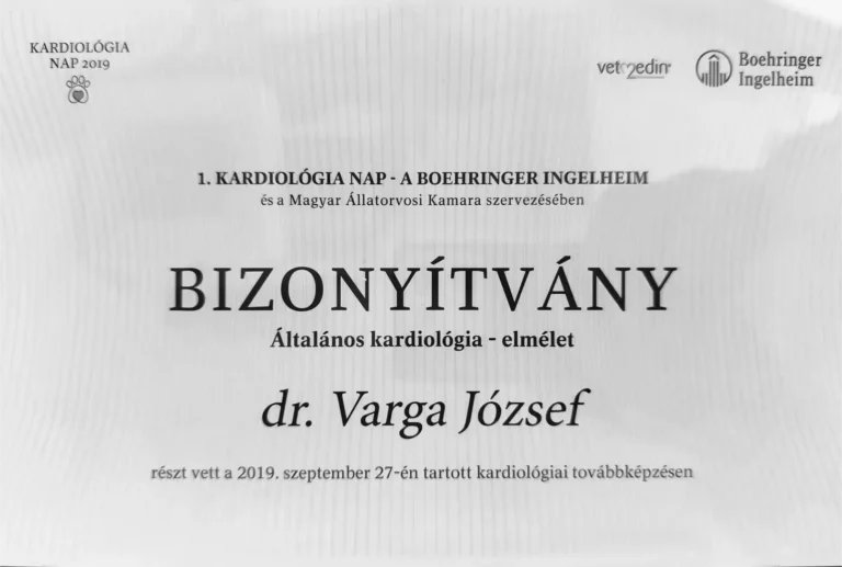 Dr Varga Jozsef Allatorvos Oklevel 4 768x517
