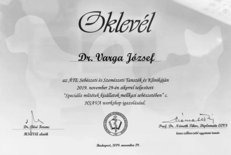 Dr Varga Jozsef Allatorvos Oklevel 5 768x517