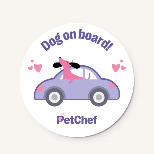 Petchef Nalepka Na Auto 2