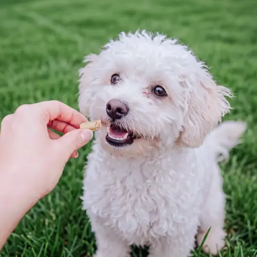 PetChef Freeze Dried Duck 4