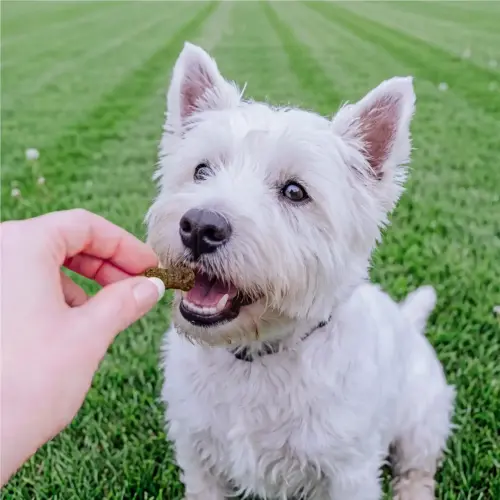 Petchef Fur And Skin Vegan Snack 4