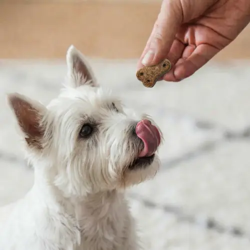 Petchef Jutalomfalatok Furandskin 4