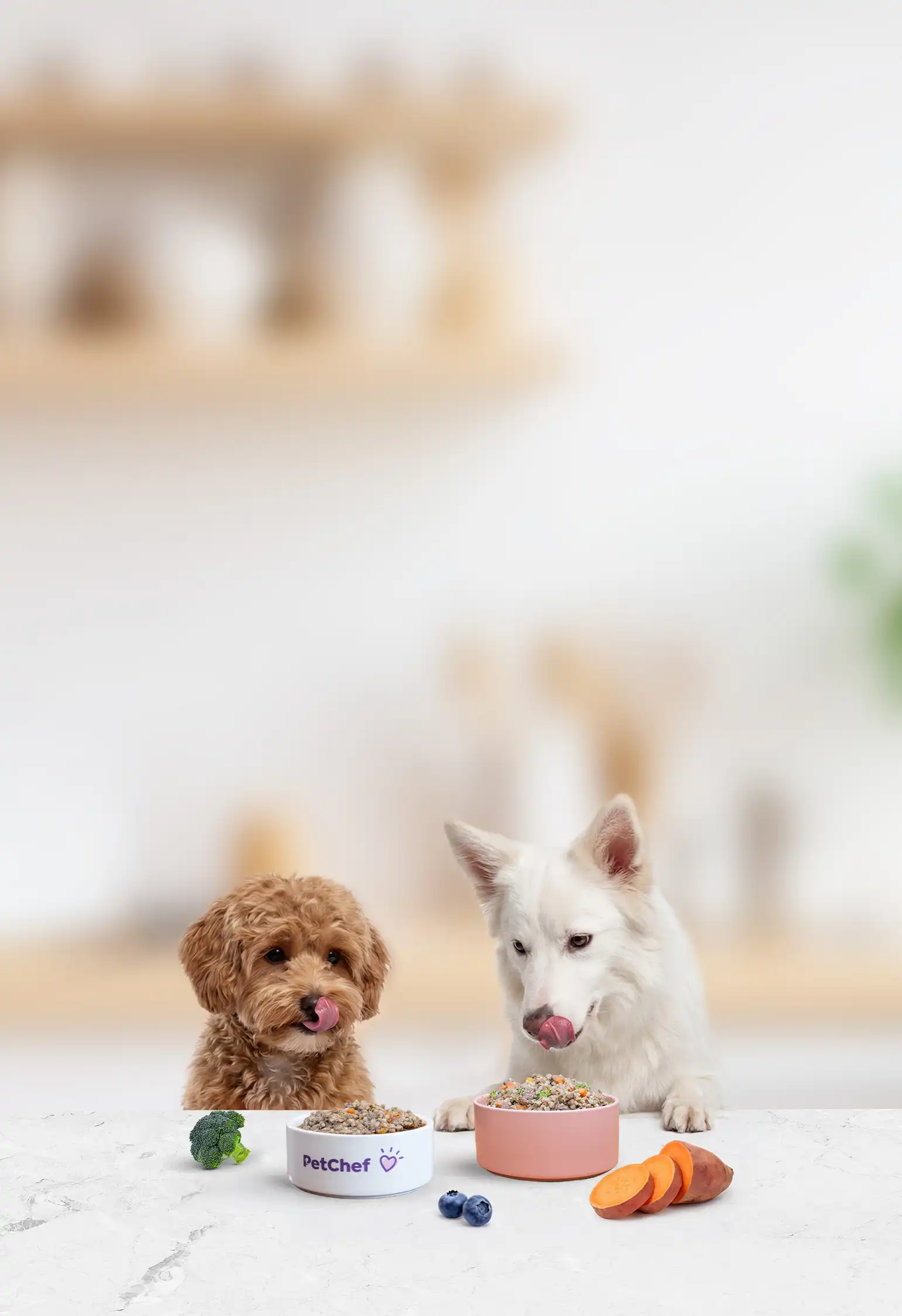 PetChef Krmiva Pre Psov Cover Mobil