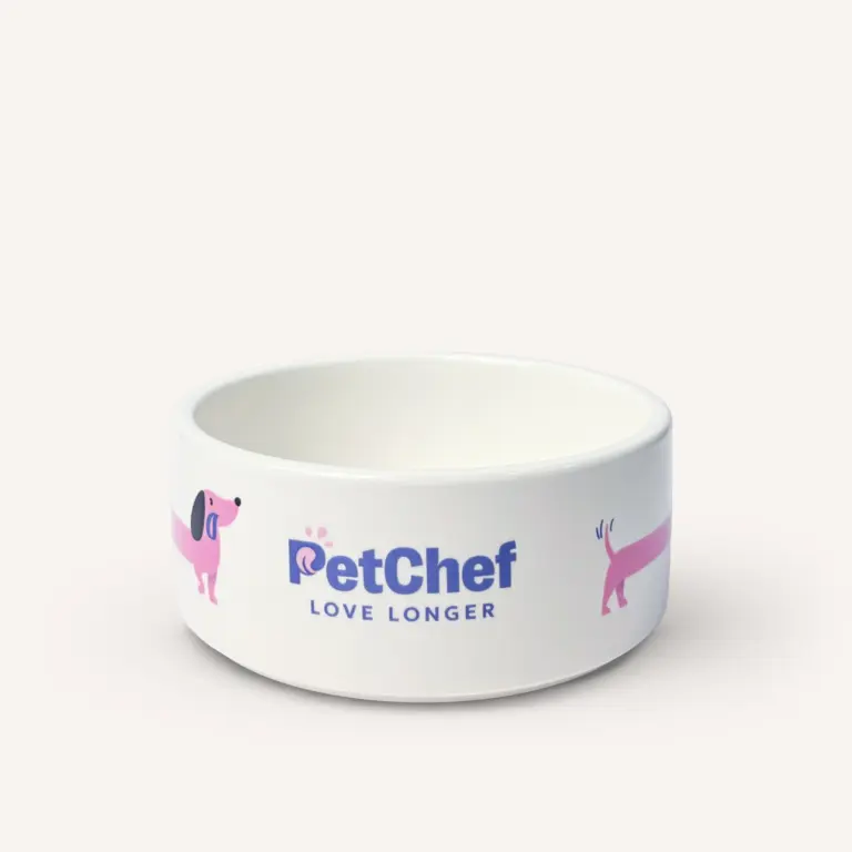 PetChef Kutya Keramia Etetotal 1