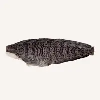 PetChef Wolffish Skin