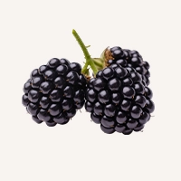 Blackberry