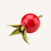 Rosehip