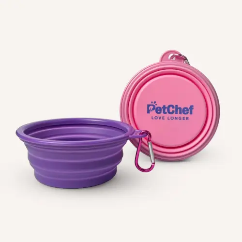 PetChef Silicone Bowl 2