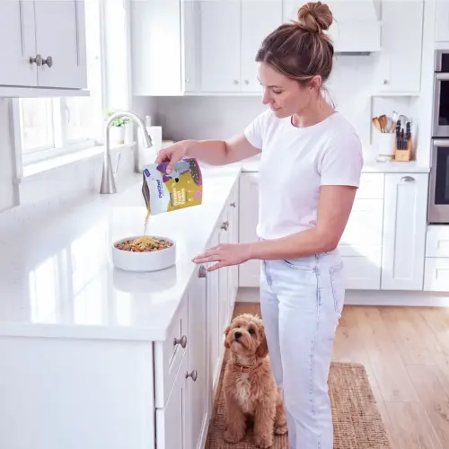 Petchef Soreleszto 2Cc