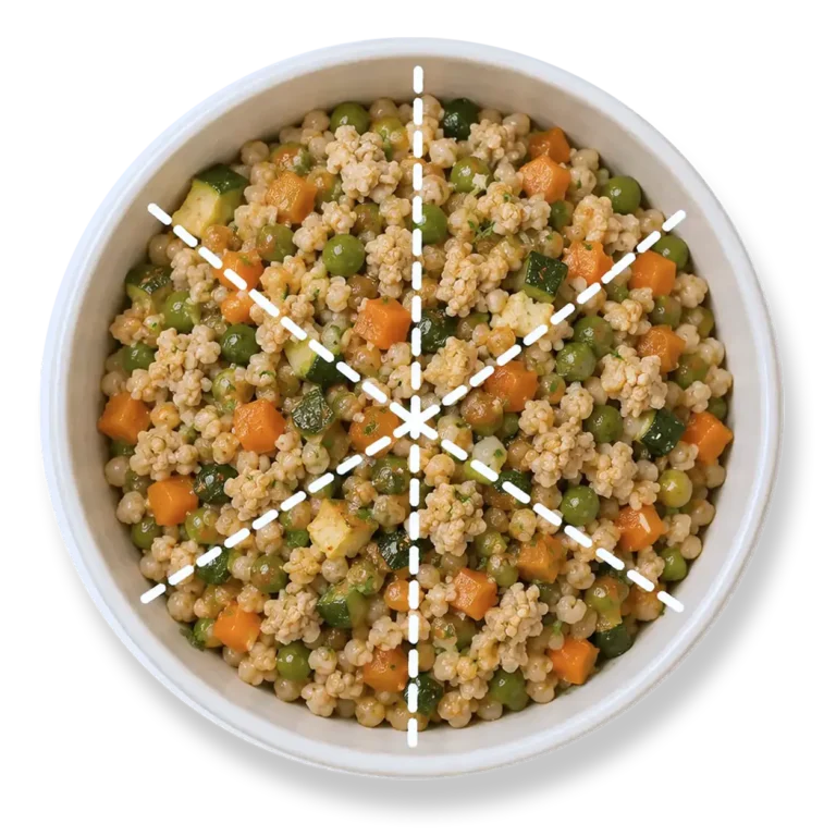Petchef Bowl 2 1 768X768